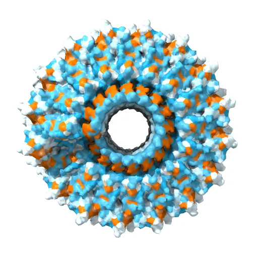 VISUALIZATION OF PROTEIN-NUCLEIC ACID INTERACTIONS IN A VIRUS. REFINED STRUCTURE OF INTACT TOBACCO MOSAIC VIRUS AT 2.9 ANGSTROMS RESOLUTION BY X-RAY FIBER DIFFRACTION — Фото 4 из 4