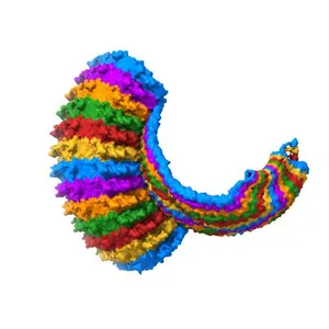 The structure of rat liver vault at 3.5 angstrom resolution