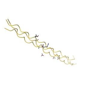 COLLAGEN