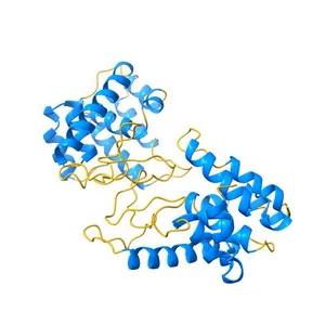 Crystal structure of full-length endolysin R21 from phage 21