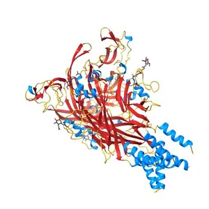 Crystal structure of the ATP-gated P2X7 ion channel in the closed, apo state