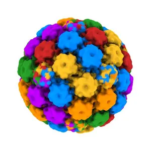 High resolution cryo-EM maps of Human papillomavirus 16 reveal L2 location and heparin-induced conformational changes