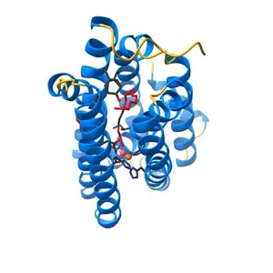 Crystal structure of a ferritin-like protein (pmt1231) from prochlorococcus marinus str. mit 9313 at 1.68 A resolution