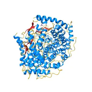 Structure of Pig Heart Citrate Synthase at 1.78 A resolution