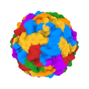 REFINEMENT OF THE SABIN STRAIN OF TYPE 3 POLIOVIRUS AT 2.4 ANGSTROMS AND THE CRYSTAL STRUCTURES OF ITS VARIANTS AT 2.9 ANGSTROMS RESOLUTION