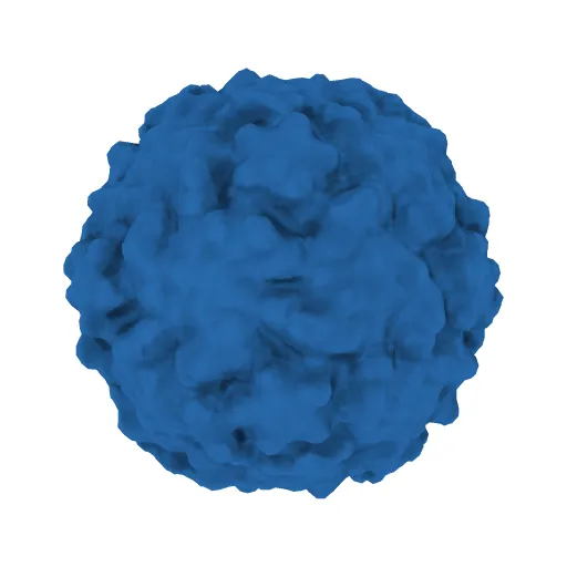 REFINEMENT OF THE SABIN STRAIN OF TYPE 3 POLIOVIRUS AT 2.4 ANGSTROMS AND THE CRYSTAL STRUCTURES OF ITS VARIANTS AT 2.9 ANGSTROMS RESOLUTION — Image 2 of 3