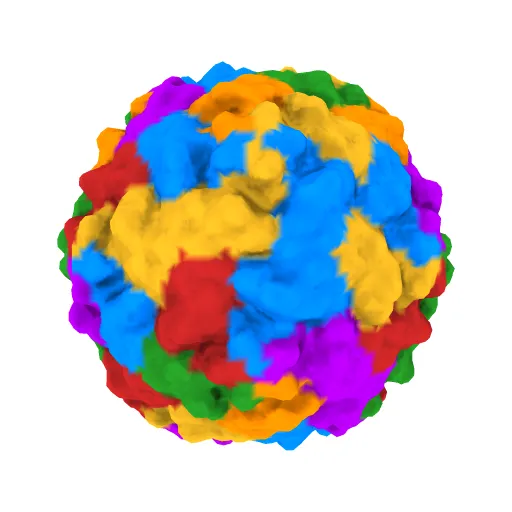 REFINEMENT OF THE SABIN STRAIN OF TYPE 3 POLIOVIRUS AT 2.4 ANGSTROMS AND THE CRYSTAL STRUCTURES OF ITS VARIANTS AT 2.9 ANGSTROMS RESOLUTION — Image 3 of 3