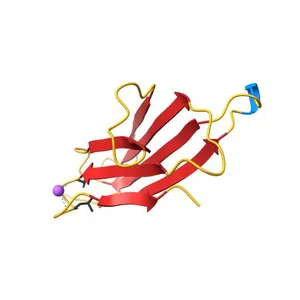 Crystal Structure of monomeric human beta-2-microglobulin