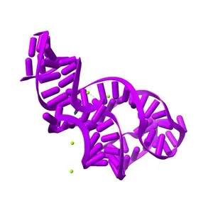 A-riboswitch-adenine complex