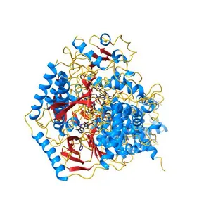Plasticity of the quinone-binding site of the complex II homolog quinol:fumarate reductase