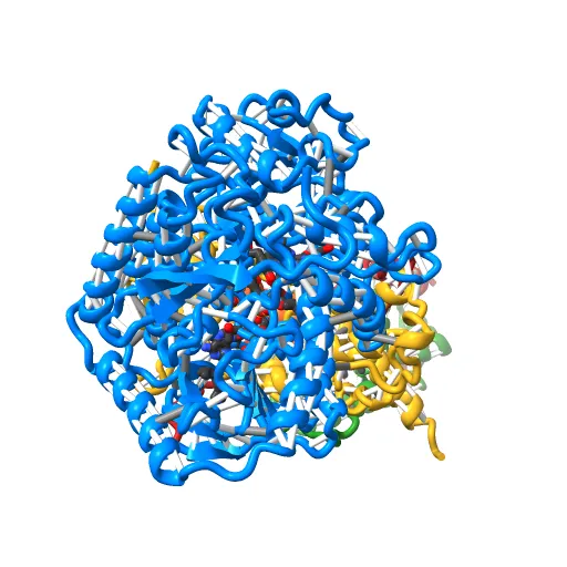 Plasticity of the quinone-binding site of the complex II homolog quinol:fumarate reductase — Image 2 of 13