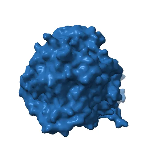 Plasticity of the quinone-binding site of the complex II homolog quinol:fumarate reductase — Image 3 of 13