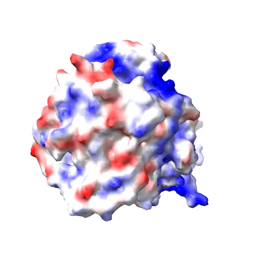 Plasticity of the quinone-binding site of the complex II homolog quinol:fumarate reductase — Image 4 of 13
