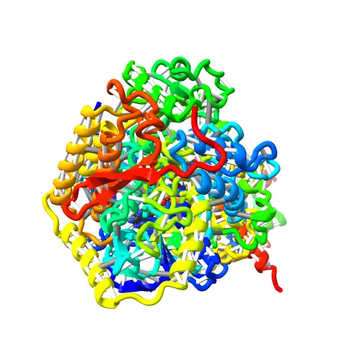 Plasticity of the quinone-binding site of the complex II homolog quinol:fumarate reductase — Image 5 of 13
