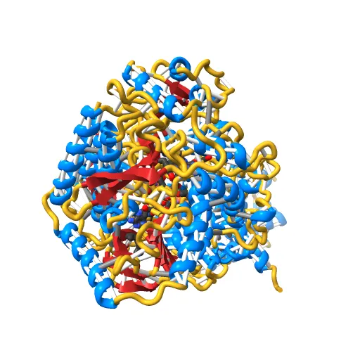 Plasticity of the quinone-binding site of the complex II homolog quinol:fumarate reductase — Image 6 of 13