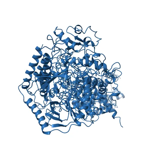 Plasticity of the quinone-binding site of the complex II homolog quinol:fumarate reductase — Image 7 of 13