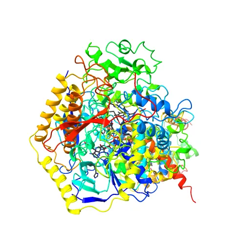 Plasticity of the quinone-binding site of the complex II homolog quinol:fumarate reductase — Image 9 of 13