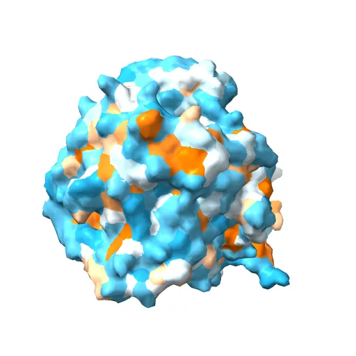 Plasticity of the quinone-binding site of the complex II homolog quinol:fumarate reductase — Image 11 of 13