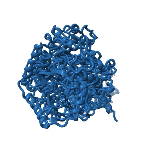 Plasticity of the quinone-binding site of the complex II homolog quinol:fumarate reductase — Image 12 of 13