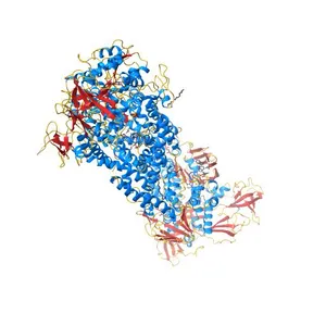 Crystal structure of the maltose-binding protein/maltose transporter complex in an outward-facing conformation bound to MgAMPPNP