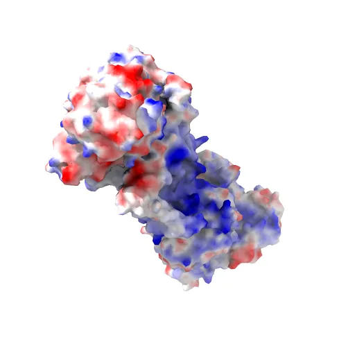 Crystal structure of the maltose-binding protein/maltose transporter complex in an outward-facing conformation bound to MgAMPPNP — Фото 2 из 13