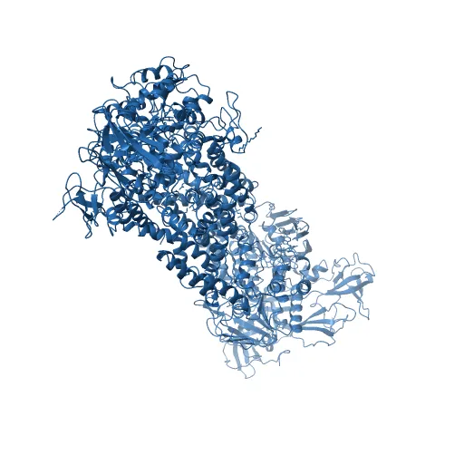 Crystal structure of the maltose-binding protein/maltose transporter complex in an outward-facing conformation bound to MgAMPPNP — Фото 4 из 13