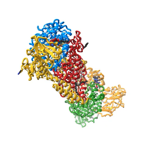 Crystal structure of the maltose-binding protein/maltose transporter complex in an outward-facing conformation bound to MgAMPPNP — Фото 5 из 13