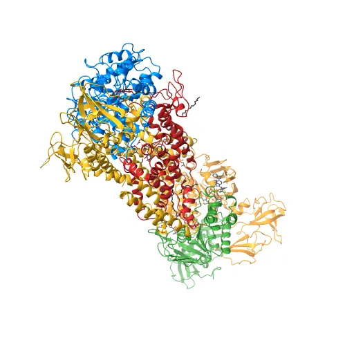Crystal structure of the maltose-binding protein/maltose transporter complex in an outward-facing conformation bound to MgAMPPNP — Фото 8 из 13