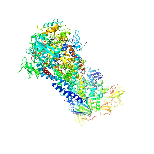 Crystal structure of the maltose-binding protein/maltose transporter complex in an outward-facing conformation bound to MgAMPPNP — Фото 9 из 13