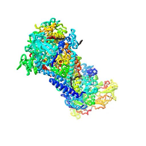 Crystal structure of the maltose-binding protein/maltose transporter complex in an outward-facing conformation bound to MgAMPPNP — Фото 10 из 13
