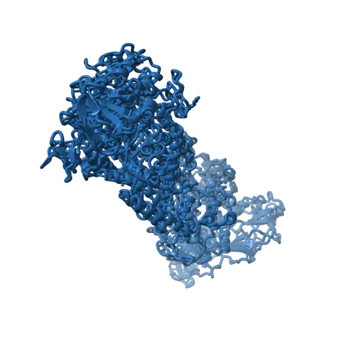 Crystal structure of the maltose-binding protein/maltose transporter complex in an outward-facing conformation bound to MgAMPPNP — Фото 11 из 13