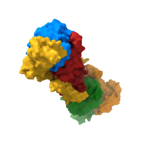 Crystal structure of the maltose-binding protein/maltose transporter complex in an outward-facing conformation bound to MgAMPPNP — Фото 12 из 13