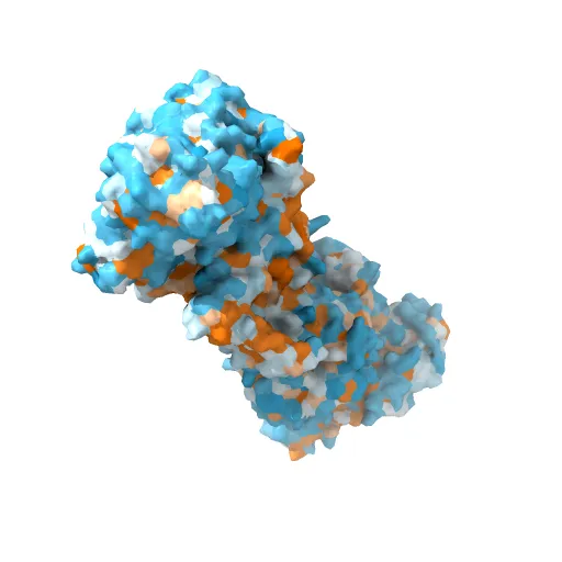 Crystal structure of the maltose-binding protein/maltose transporter complex in an outward-facing conformation bound to MgAMPPNP — Фото 13 из 13