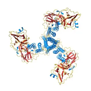 Crystal structure of Bacillus thuringiensis Cry5B nematocidal toxin