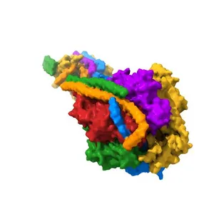 ATP synthase from Paracoccus denitrificans