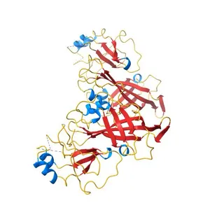 Low resolution structure of Ebola virus M241R mutant