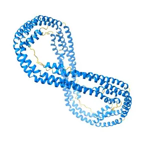 CRYSTAL STRUCTURE OF HUMAN APOLIPOPROTEIN A-I