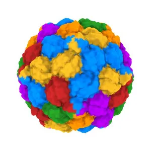 Crystal structure of HK97 Prohead II