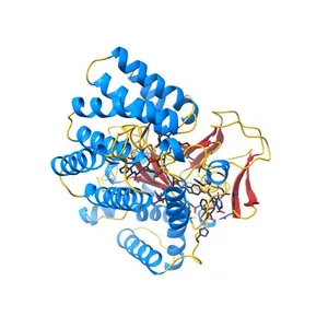 Structure of SMYD2 in complex with p53 and SAH
