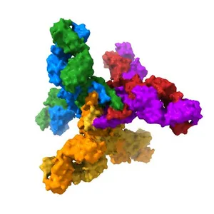 Crystal Structure of the HIV-1 BG505 SOSIP.664 Env Trimer Ectodomain, Comprising Atomic-Level Definition of Pre-Fusion gp120 and gp41, in Complex with Human Antibodies PGT122 and 35O22