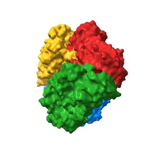 E. COLI (lacZ) BETA-GALACTOSIDASE (E537Q) IN COMPLEX WITH LACTOSE