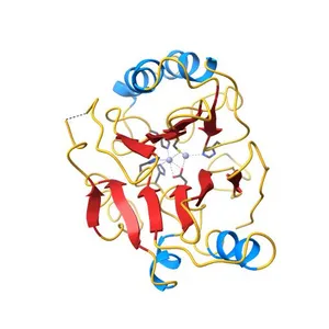 Crystal structure of New Delhi Metallo-beta-lactamase (NDM-1)