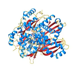 TERNARY COMPLEX OF PSEUDOMONAS MEVALONII HMG-COA REDUCTASE WITH HMG-COA AND NAD+