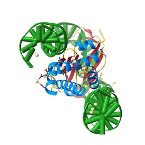 INTEGRATION HOST FACTOR/DNA COMPLEX