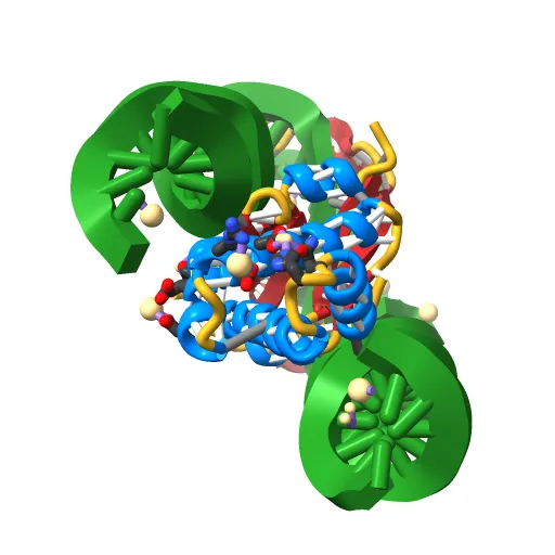 INTEGRATION HOST FACTOR/DNA COMPLEX — Фото 2 из 13