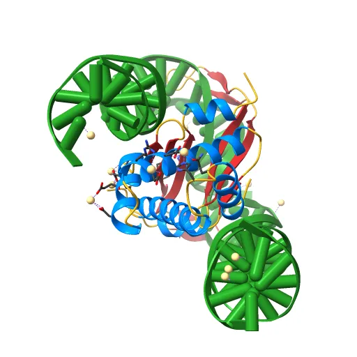 INTEGRATION HOST FACTOR/DNA COMPLEX — Фото 3 из 13