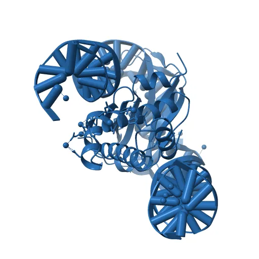 INTEGRATION HOST FACTOR/DNA COMPLEX — Фото 4 из 13