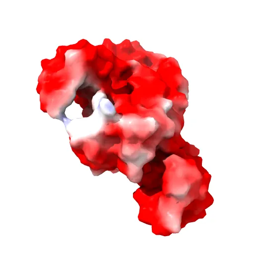 INTEGRATION HOST FACTOR/DNA COMPLEX — Фото 5 из 13