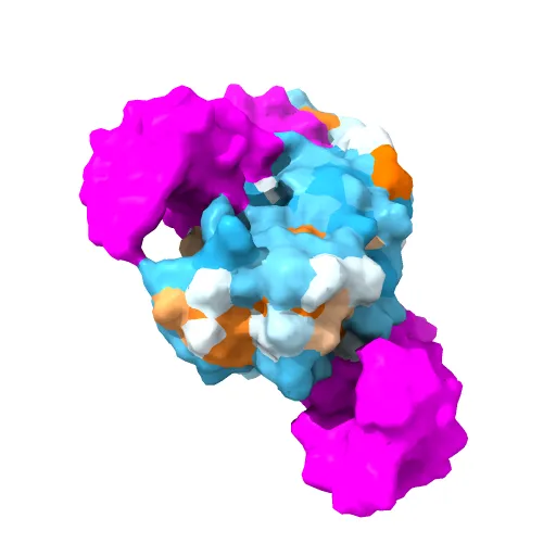 INTEGRATION HOST FACTOR/DNA COMPLEX — Фото 8 из 13