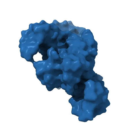 INTEGRATION HOST FACTOR/DNA COMPLEX — Фото 9 из 13